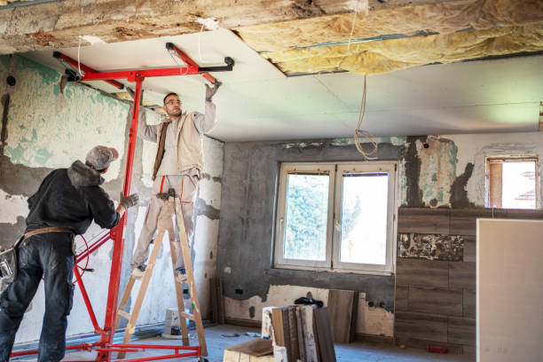 Best Crawl Space Insulation  in Crested Butte, CO